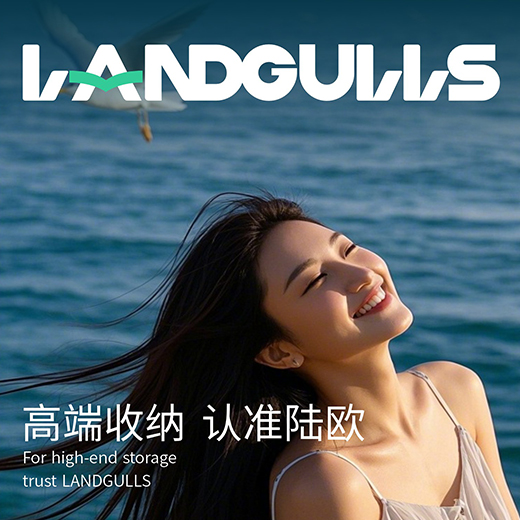 陆欧箱包品牌设计
